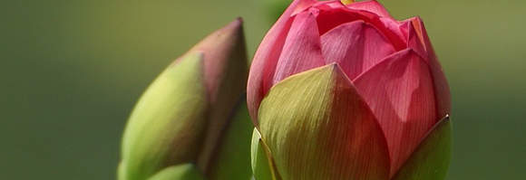 If you really feel a lot better, take the entire quantity of doxycycline prescribed by your physician also.